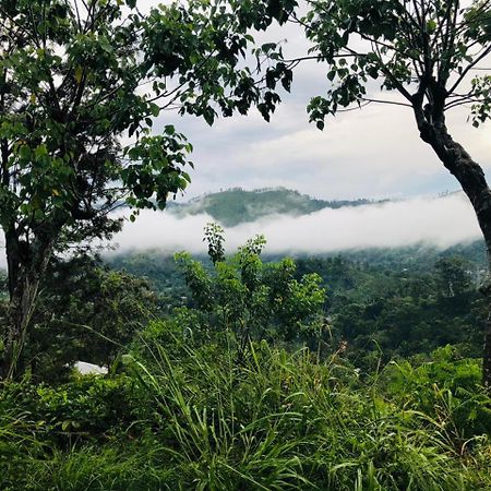 Green Heaven Lodge 엘라 외부 사진