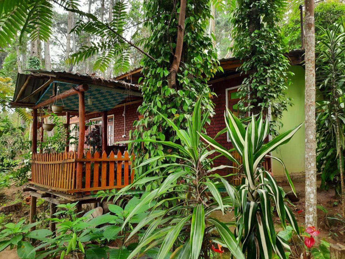 Green Heaven Lodge 엘라 외부 사진
