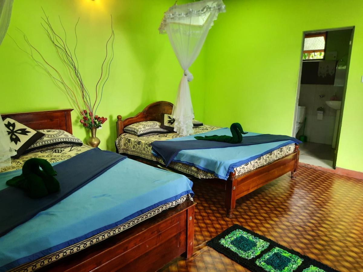 Green Heaven Lodge 엘라 외부 사진