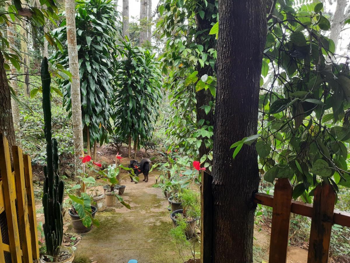 Green Heaven Lodge 엘라 외부 사진