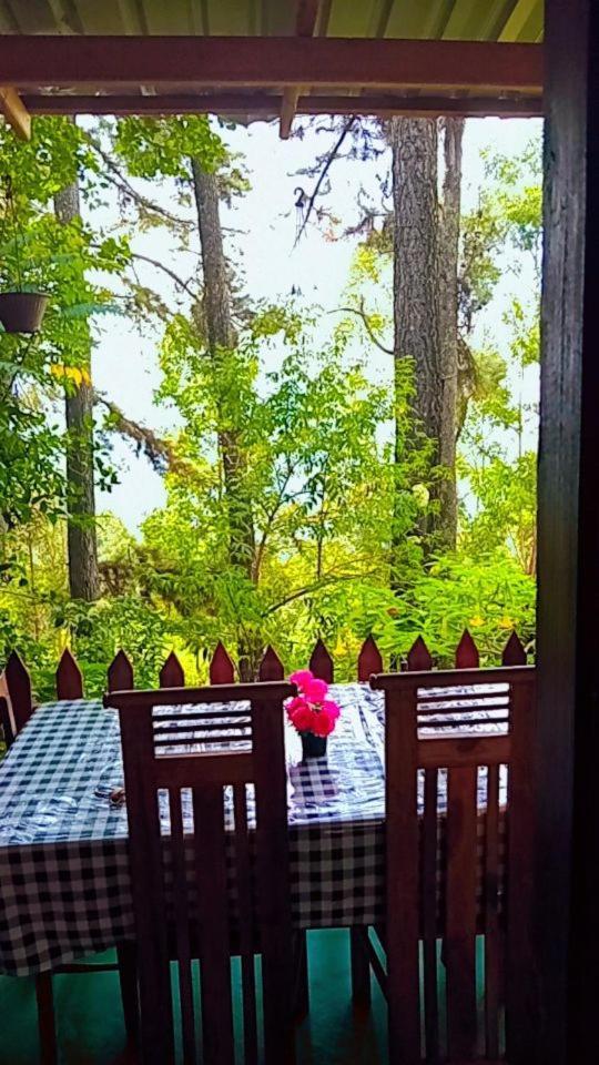 Green Heaven Lodge 엘라 외부 사진