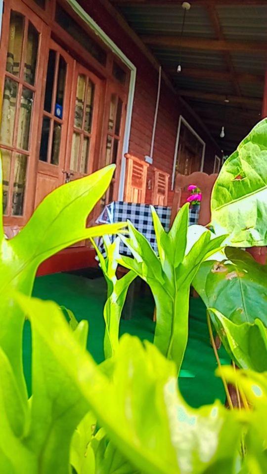 Green Heaven Lodge 엘라 외부 사진