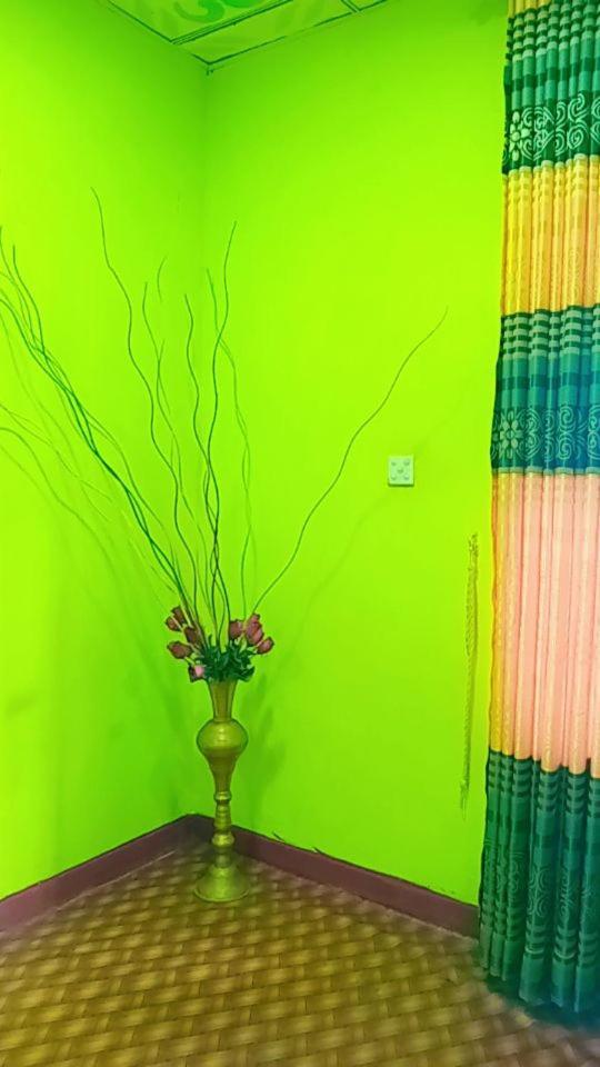 Green Heaven Lodge 엘라 외부 사진