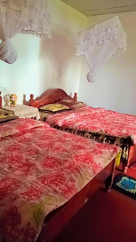 Green Heaven Lodge 엘라 외부 사진