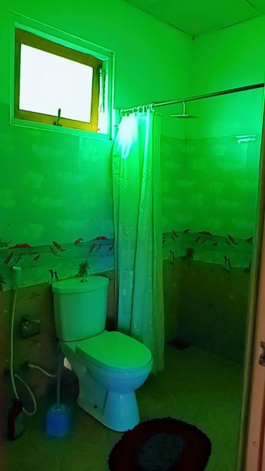 Green Heaven Lodge 엘라 외부 사진
