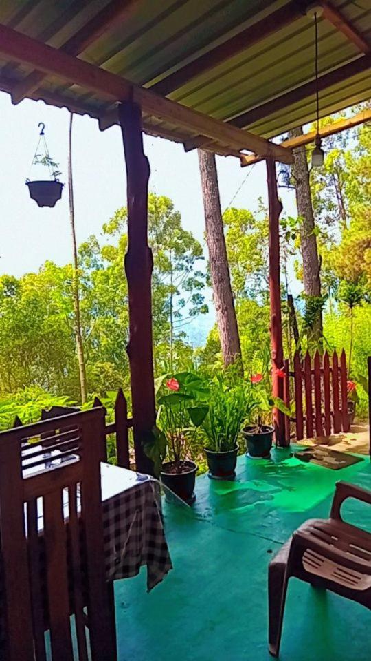 Green Heaven Lodge 엘라 외부 사진