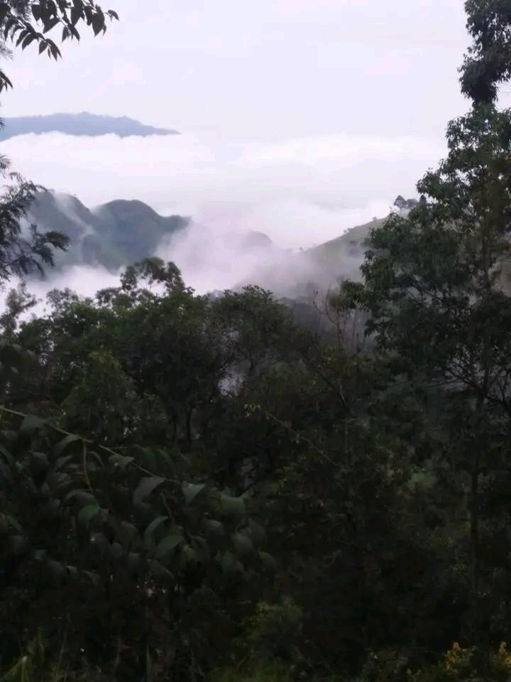 Green Heaven Lodge 엘라 외부 사진