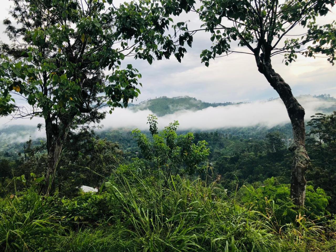 Green Heaven Lodge 엘라 외부 사진