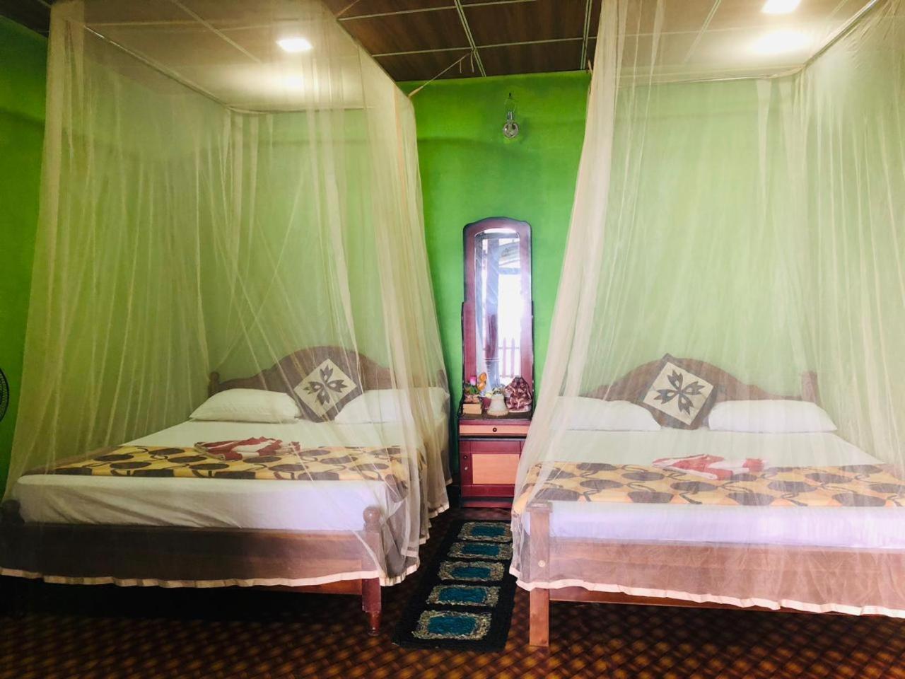 Green Heaven Lodge 엘라 외부 사진