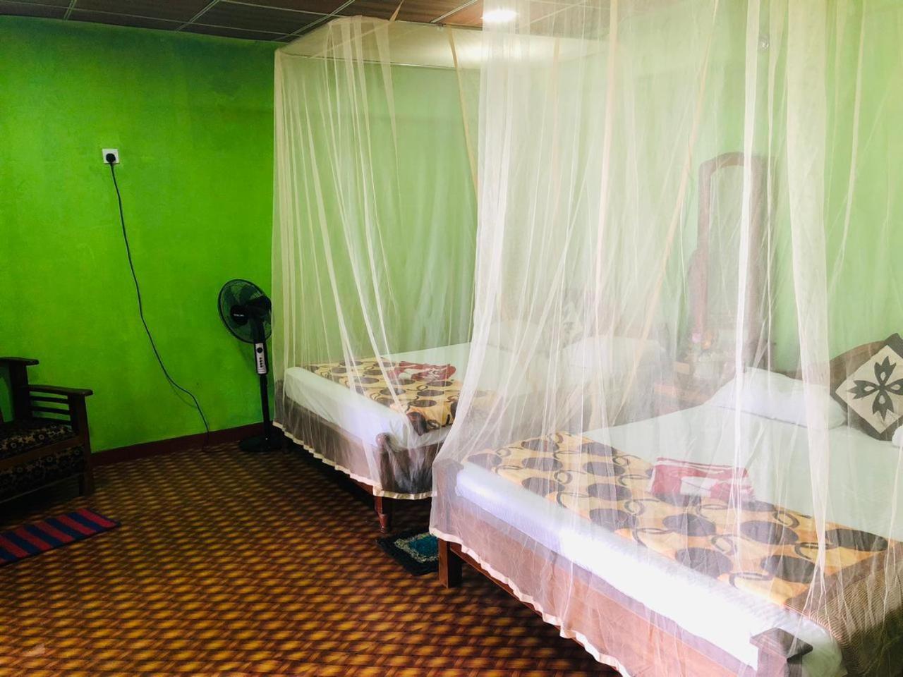 Green Heaven Lodge 엘라 외부 사진